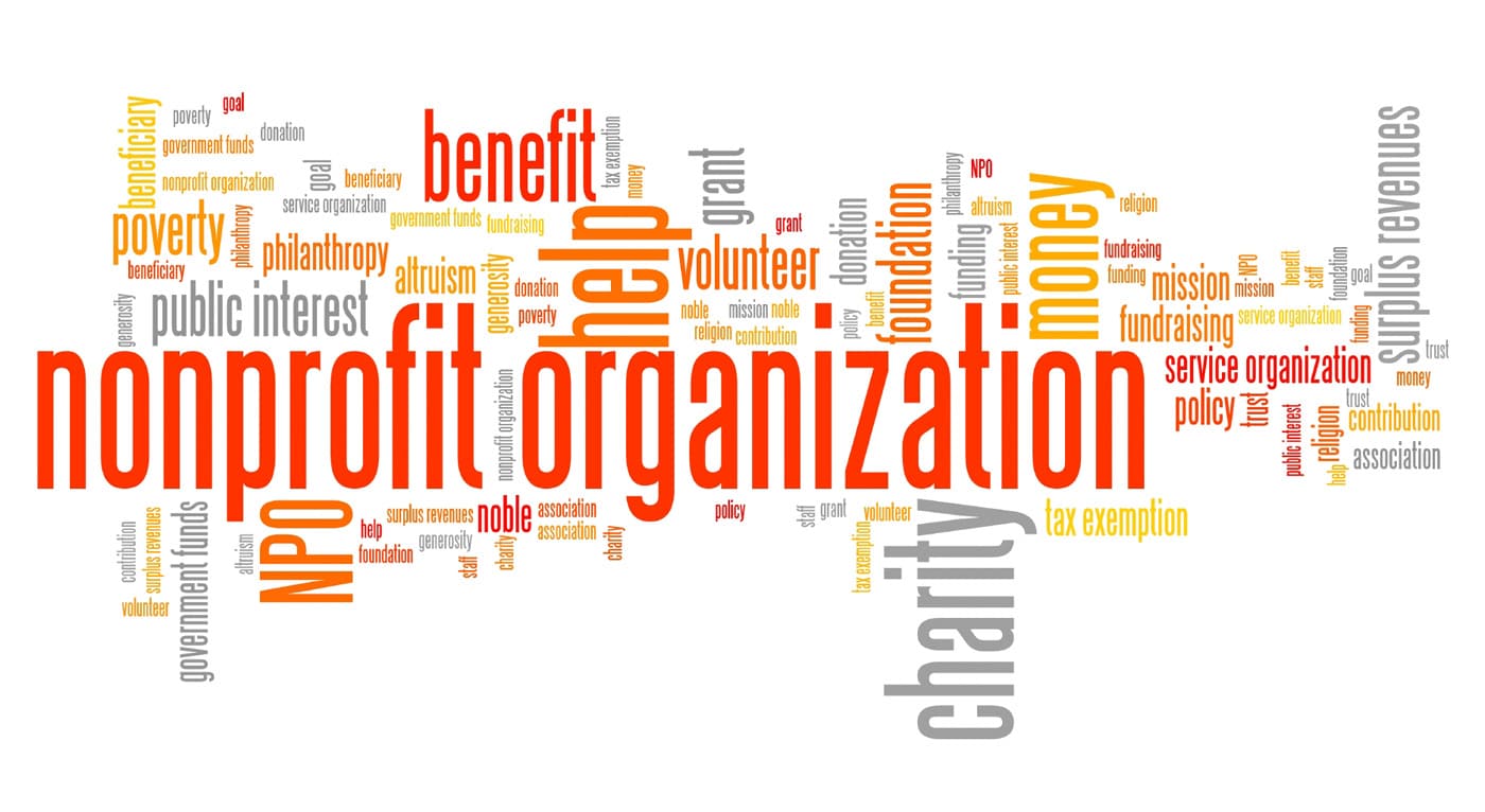 Word Cloud of Nonprofit Organization issues