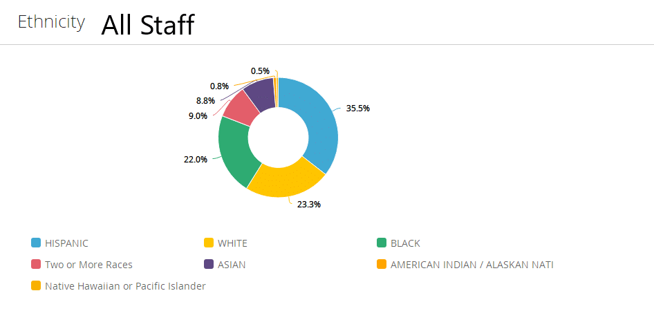Pie Chart of ethnicity of staff