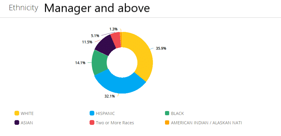 Pie Chart of ethnicity of managers and above