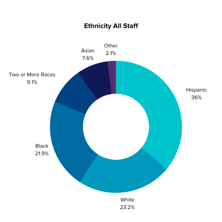 Pie chart with breakdown of ethnicity of MHALA staff