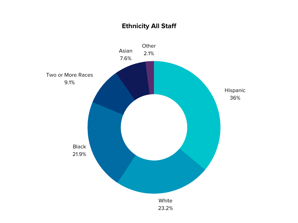Pie chart with breakdown of ethnicity of MHALA staff