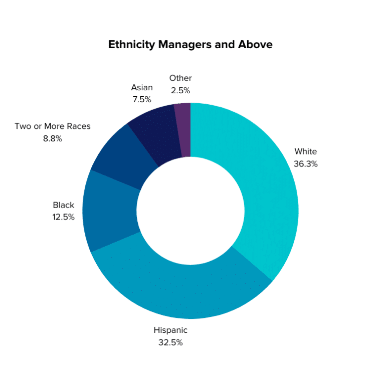 Pie chart showing breakdown of ethnicities of MHALA managers
