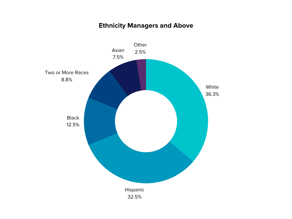 Pie chart showing breakdown of ethnicities of MHALA managers