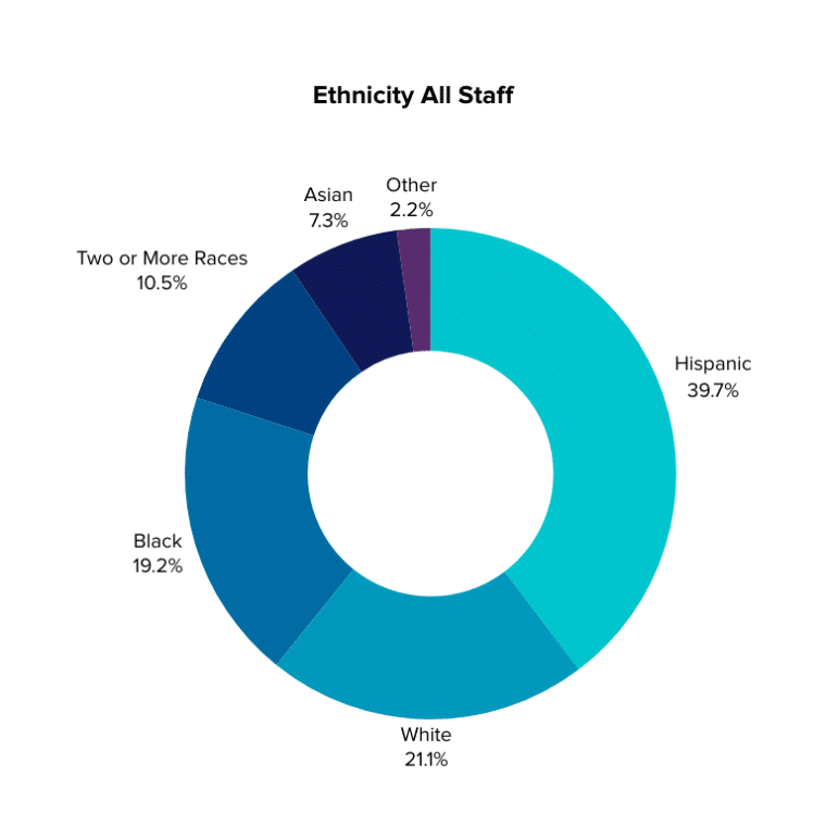 Pie chart showing ethnicity of all staff at MHALA