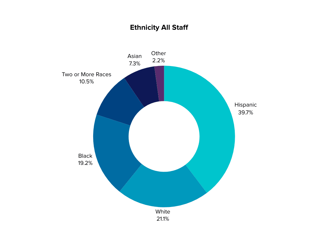 Pie chart showing ethnicity of all staff at MHALA