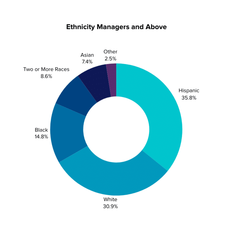 Pie chart showing breakdown of ethnicity in MHALA leadership